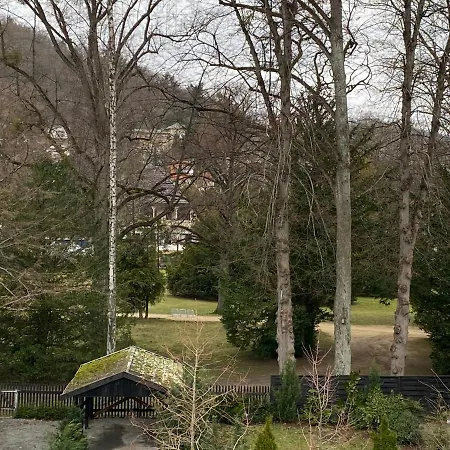 Penthouse-am Stadtpark Lejlighed Bad Harzburg