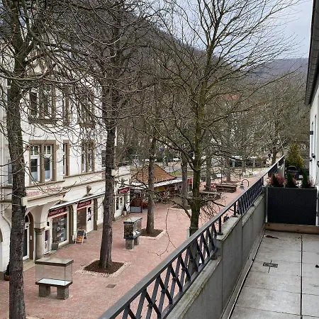 Penthouse-am Stadtpark Bad Harzburg